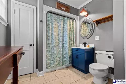 739 E Hampton St, Olanta, SC 29114 photo 25
