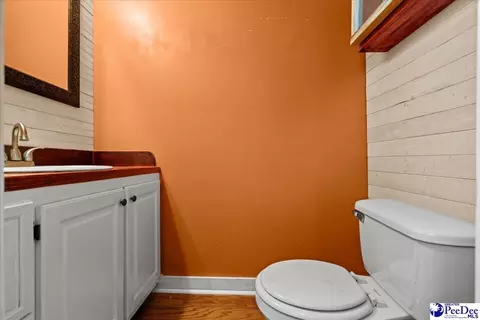 739 E Hampton St, Olanta, SC 29114 photo 30