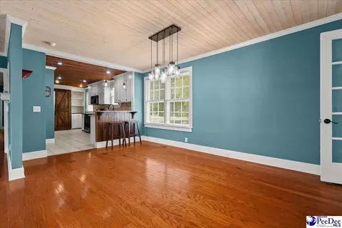 739 E Hampton St, Olanta, SC 29114 photo 19