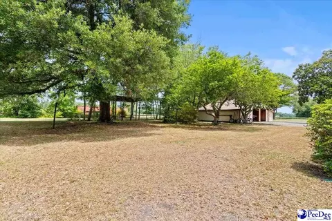 739 E Hampton St, Olanta, SC 29114 photo 34