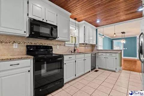 739 E Hampton St, Olanta, SC 29114 photo 12