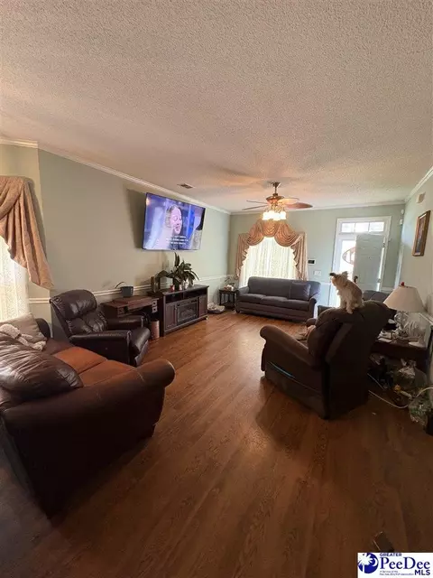 Other - 1011 Squires Point Ln, Dillon, SC 29536 photo 3 of 5
