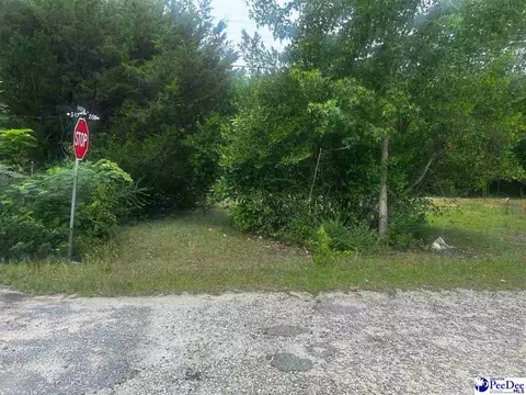 tbd S 22nd Ave, Dillon, SC 29356 photo 2
