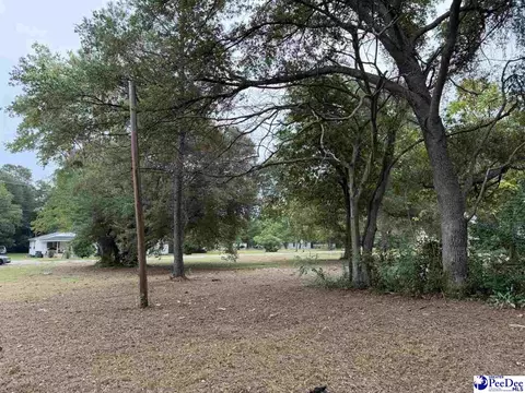 1006 E Dargan St, Dillon, SC 29536 photo 2
