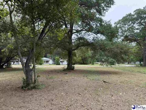1008 E Dargan St, Dillon, SC 29536 photo 2