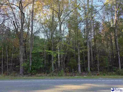 1317 Major Dr, Hartsville, SC 29550