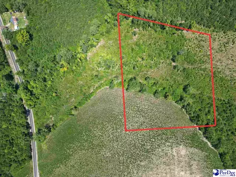 9 14 Acress Off Dalcho Rd, Latta, SC 29565