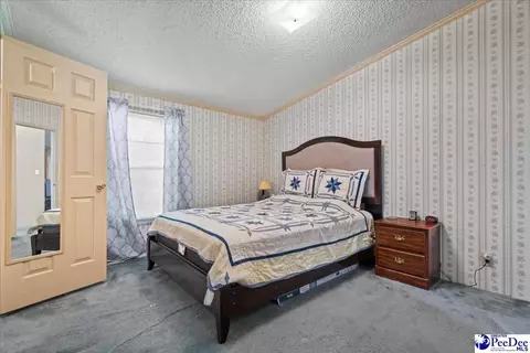 3107 Alligator Rd, Florence, SC 29501 photo 16