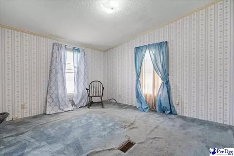 3107 Alligator Rd, Florence, SC 29501 photo 13