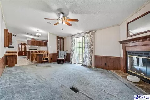 3107 Alligator Rd, Florence, SC 29501 photo 27