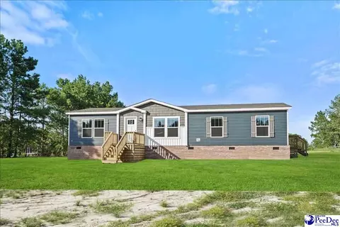6493 Airport Rd, Mount Croghan, SC 29727