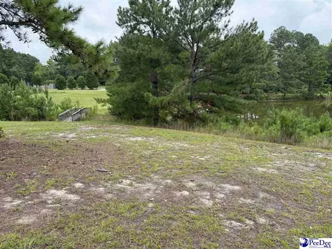 View/Area - 2142 Highway 177, Wallace, SC 29596 photo 3 of 3