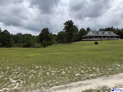 Exterior - 2142 Highway 177, Wallace, SC 29596 photo 2 of 4