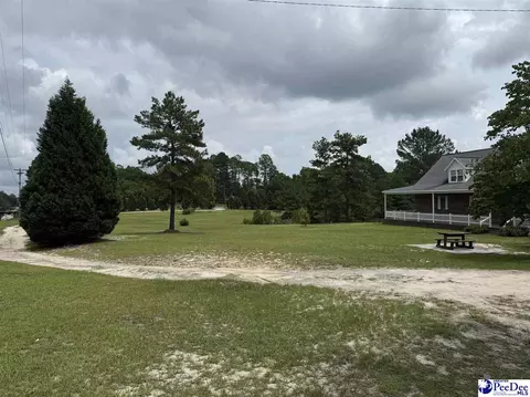 Exterior - 2142 Highway 177, Wallace, SC 29596 photo 3 of 4