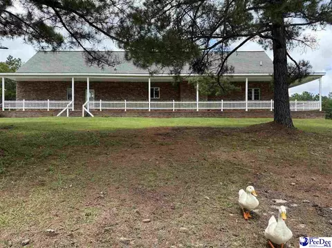 Other - 2142 Highway 177, Wallace, SC 29596 photo 1 of 15