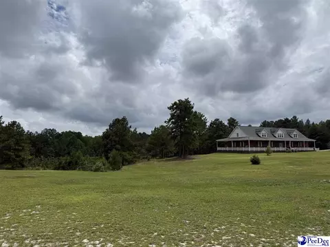 Other - 2142 Highway 177, Wallace, SC 29596 photo 13 of 15