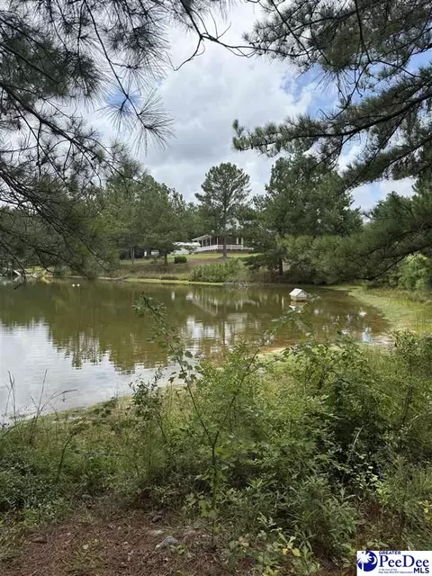 View/Area - 2142 Highway 177, Wallace, SC 29596 photo 2 of 3