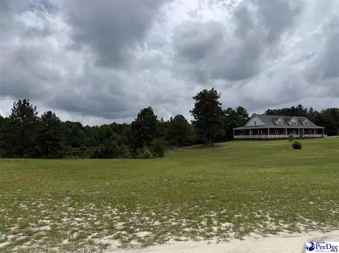Other - 2142 Highway 177, Wallace, SC 29596 photo 14 of 15