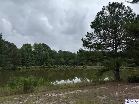 View/Area - 2142 Highway 177, Wallace, SC 29596 photo 1 of 3