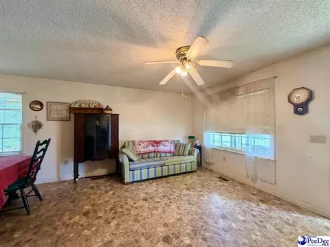 Living - 732 Freddie Loop, Dillon, SC 29536 photo 2 of 2
