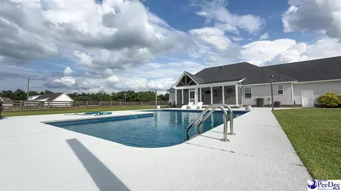 Exterior - 1119 Mclaughlin Rd, Effingham, SC 29541 photo 13 of 16