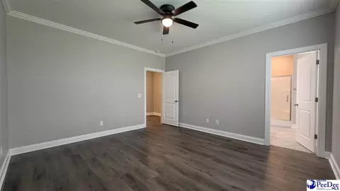 Other - 1119 Mclaughlin Rd, Effingham, SC 29541 photo 3 of 13