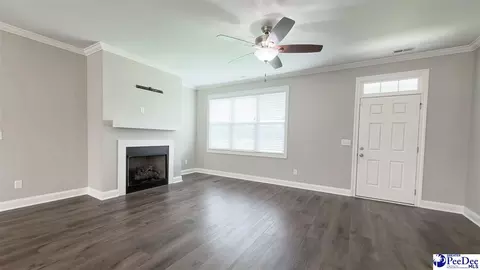 Living - 1119 Mclaughlin Rd, Effingham, SC 29541 photo 3 of 4