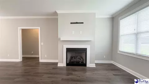 Living - 1119 Mclaughlin Rd, Effingham, SC 29541 photo 4 of 4