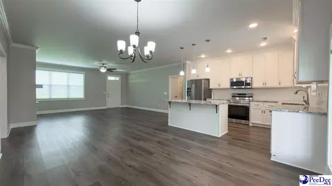 Other - 1119 Mclaughlin Rd, Effingham, SC 29541 photo 2 of 13