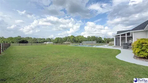 Exterior - 1119 Mclaughlin Rd, Effingham, SC 29541 photo 16 of 16