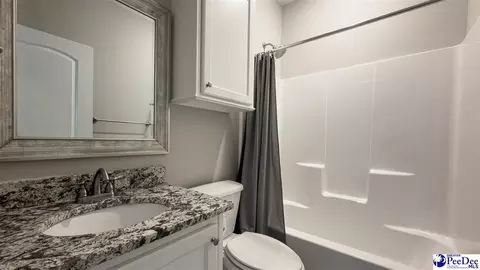 Bath - 1119 Mclaughlin Rd, Effingham, SC 29541 photo 6 of 6