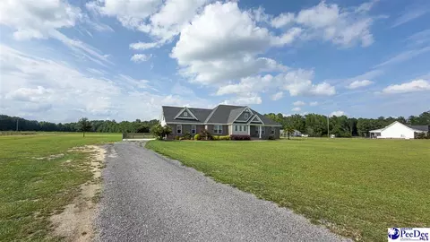 Other - 1119 Mclaughlin Rd, Effingham, SC 29541 photo 1 of 13