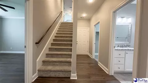 Entry Way - 1119 Mclaughlin Rd, Effingham, SC 29541 photo 3 of 5