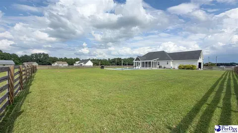 Exterior - 1119 Mclaughlin Rd, Effingham, SC 29541 photo 15 of 16