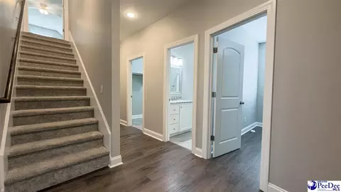 Entry Way - 1119 Mclaughlin Rd, Effingham, SC 29541 photo 4 of 5