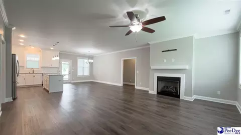 Living - 1119 Mclaughlin Rd, Effingham, SC 29541 photo 1 of 4