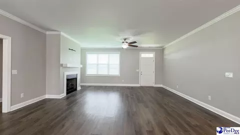 Living - 1119 Mclaughlin Rd, Effingham, SC 29541 photo 2 of 4