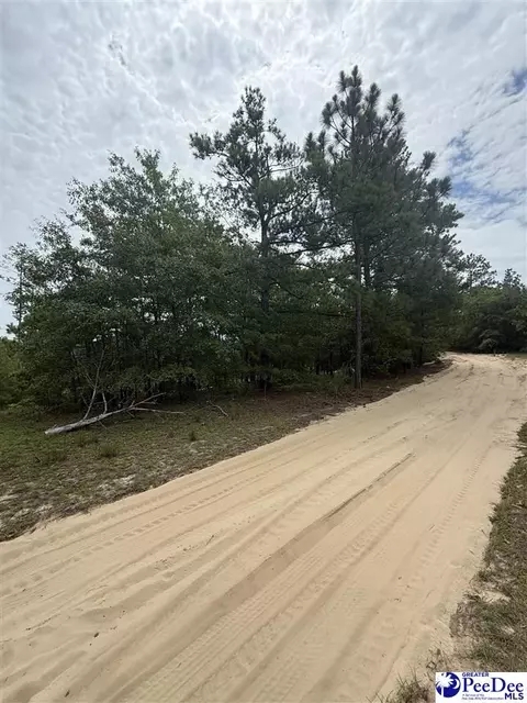 tbd Sheridan Oliver Rd, Ruby, SC 29741 photo 3