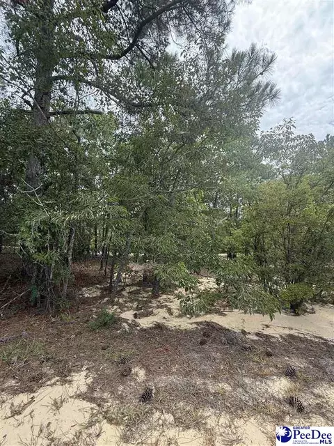 tbd Sheridan Oliver Rd, Ruby, SC 29741 photo 4