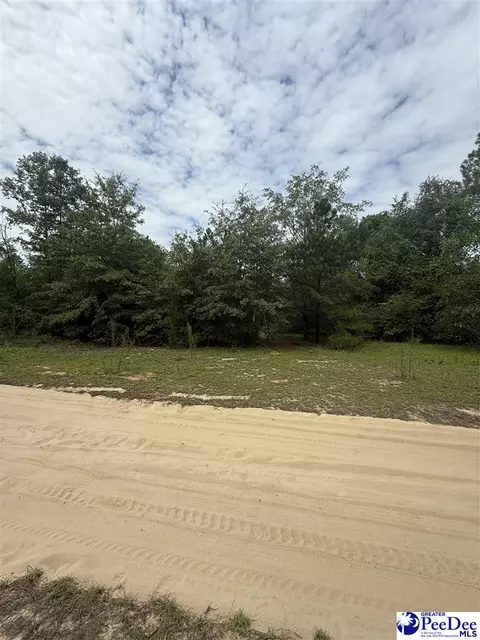 tbd Sheridan Oliver Rd, Ruby, SC 29741 photo 2