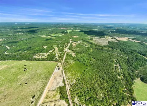 tbd Sheridan Oliver Rd, Ruby, SC 29741 photo 13