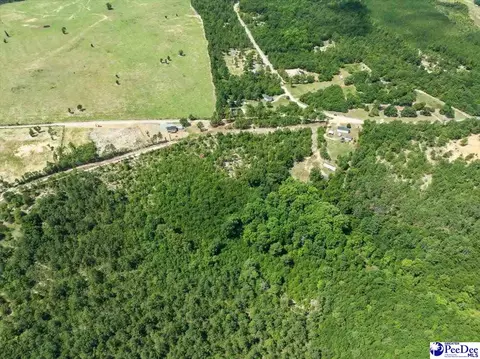 tbd Sheridan Oliver Rd, Ruby, SC 29741 photo 11