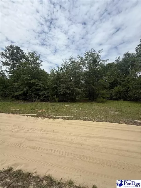 tbd Sheridan Oliver Rd, Ruby, SC 29741 photo 2