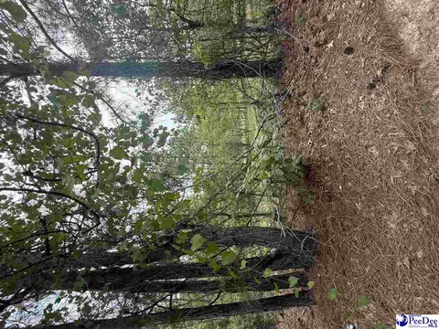 tbd Sheridan Oliver Rd, Ruby, SC 29741 photo 5