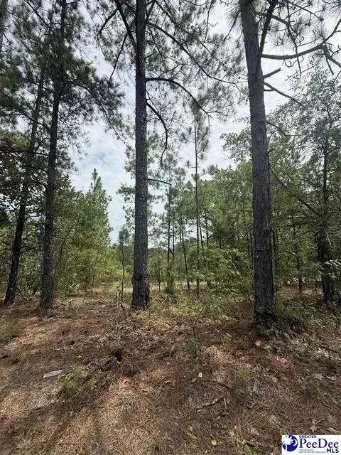 tbd Sheridan Oliver Rd, Ruby, SC 29741