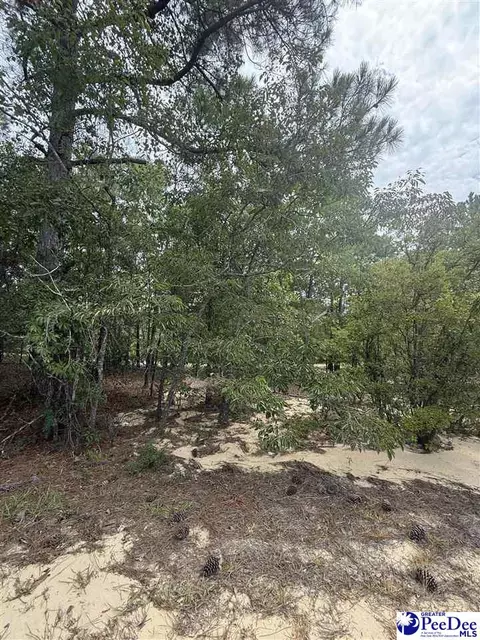 tbd Sheridan Oliver Rd, Ruby, SC 29741 photo 4