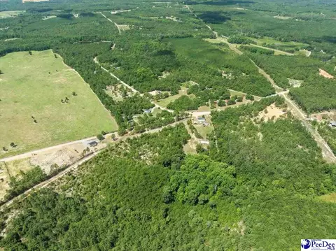 tbd Sheridan Oliver Rd, Ruby, SC 29741 photo 7