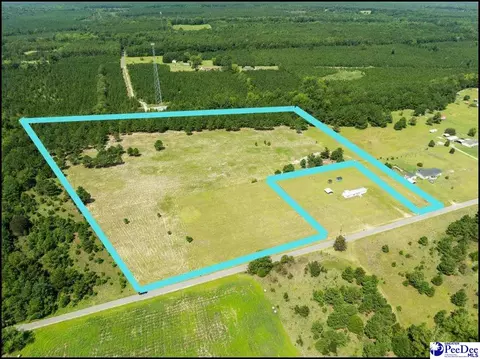 2235 Horseshoe Rd, Pamplico, SC 29506