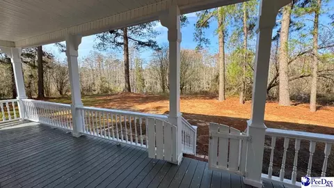 964 Celtic Ln, Lamar, SC 29069 photo 29