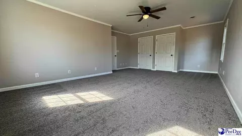 964 Celtic Ln, Lamar, SC 29069 photo 22